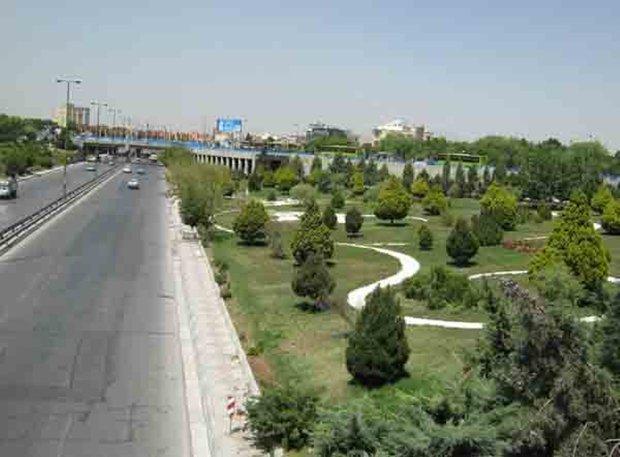 اجرای 3 پروژه جنگل کاری در حاشیه راه های کرمانشاه
