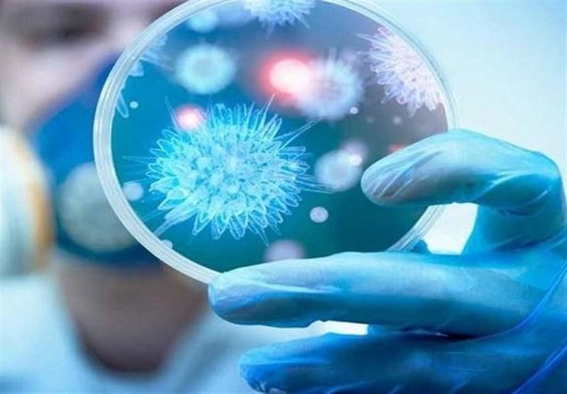 کرونا، افزایش شمار مبتلایان در عراق و کویت کرونا، افزایش شمار مبتلایان در عراق و کویت