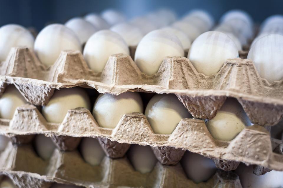 خبرنگاران کشف 5 هزار و 265 کیلوگرم تخم مرغ فاقدمجوز توزیع در الیگودرز