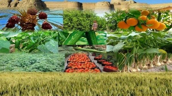 دیزاین ویلا باغ: افزایش محصولات زراعی و باغی در استان یزد