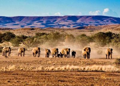 زیباترین پارک های ملی آفریقای جنوبی (تور آفریقای جنوبی ارزان)