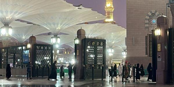 ببینید ، حال و هوای زیبای بارش باران در فضای باز مسجد النبی (ص)