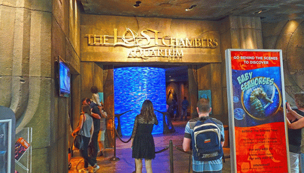 آکواریوم لاست چمبرز دبی، Lost Chambers