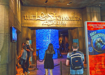 آکواریوم لاست چمبرز دبی، Lost Chambers